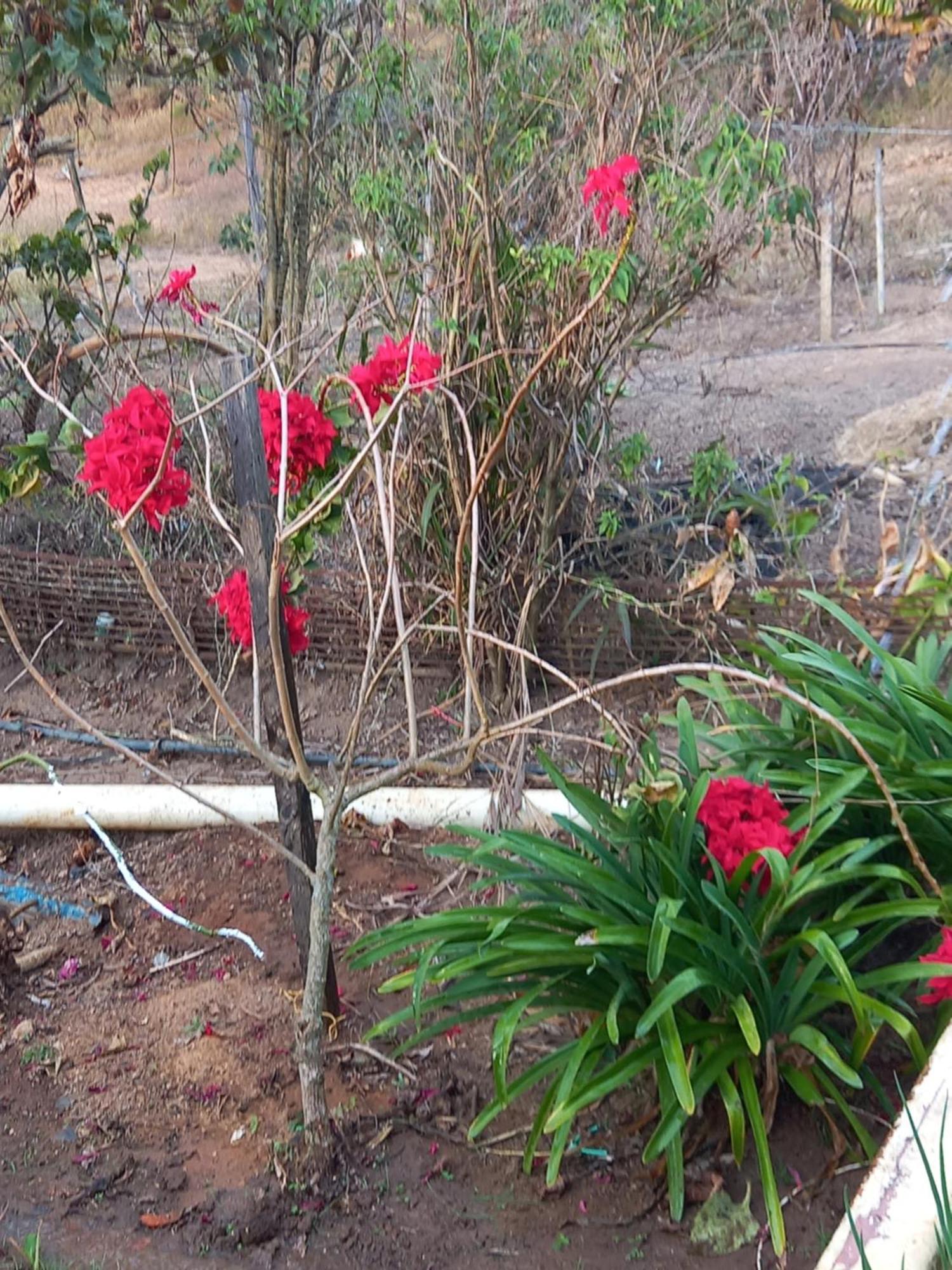 Pousada Recanto Alegre Campestre Екстер'єр фото